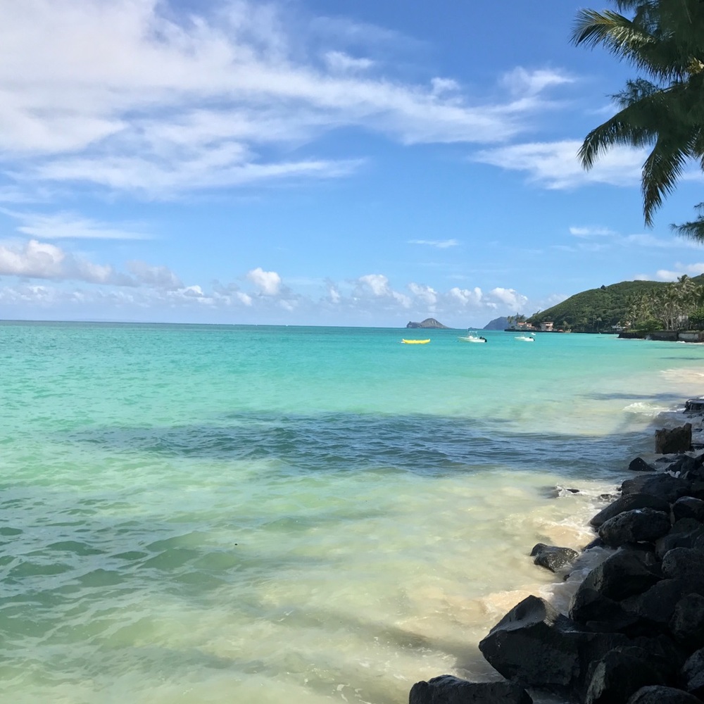 Meet your Posher, Rhodora